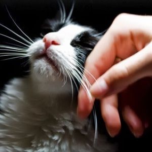 Meet your Posher, Kahrie